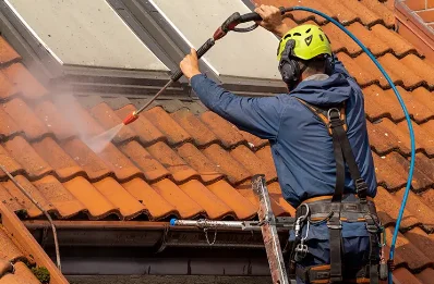 Démoussage et hydrofuge de toiture à Espinas